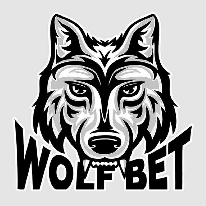 wolfbet میلاد حاتمی
