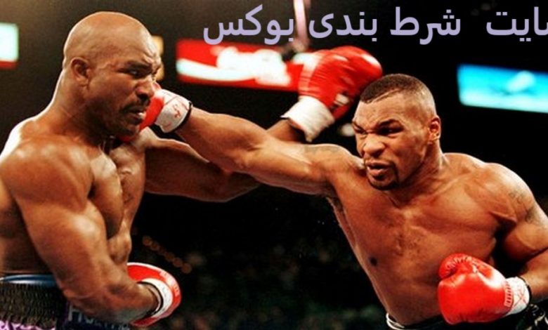 سایت شرط بندی بوکس