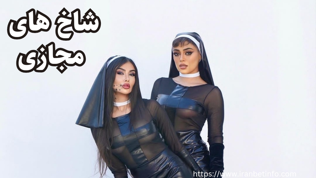 شاخ های مجازی