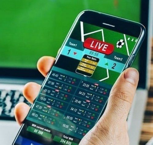 بیشترین کمیسیون شرط بندی در کدام سایت است؟