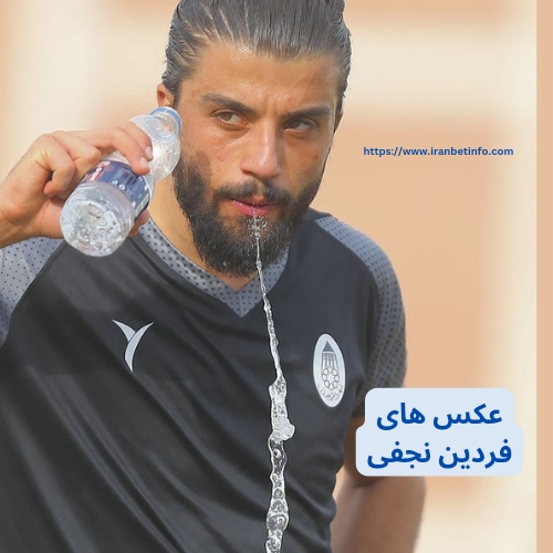 عکس های فردین نجفی