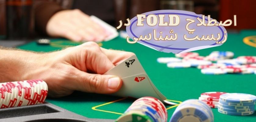 اصطلاح fold در زیست شناسی