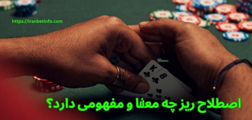 اصطلاح ریز چه معنا و مفهومی دارد؟