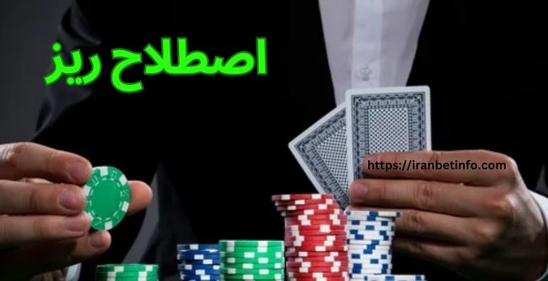 اصطلاح ریز