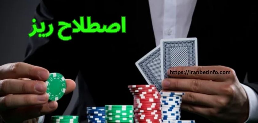 اصطلاح ریز