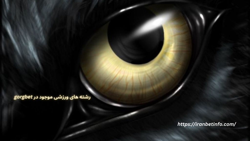 رشته های ورزشی موجود در gorgbet