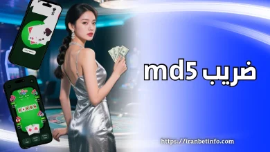 ضریب md5